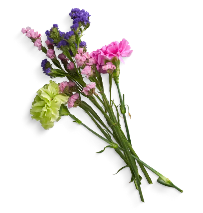 Ramo de flores variado