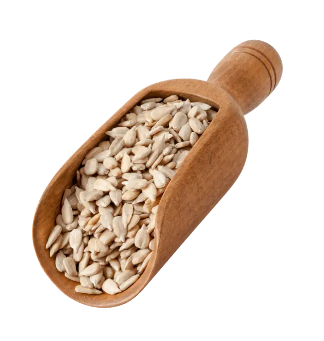 Semillas recogidas en un recipiente