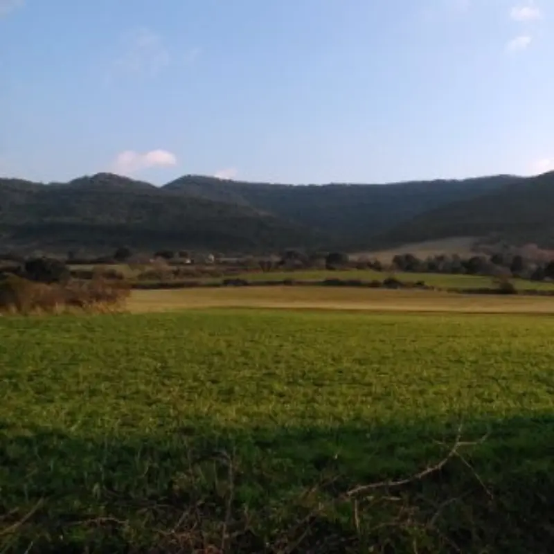 sobre-nosotros-4 Localización de Comercial Agraria vista de lejos