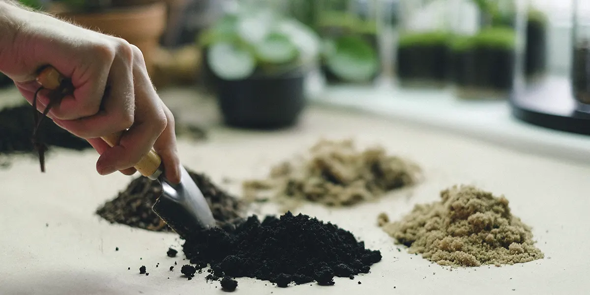 Fertilizantes y abonos. Diferentes tipos de fertilizantes y abonos encima de una mesa