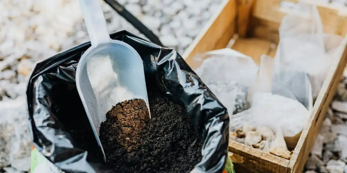 fertilizante de plantas: un cubo de abono, junto con una caja de bolsas de fertilizante.