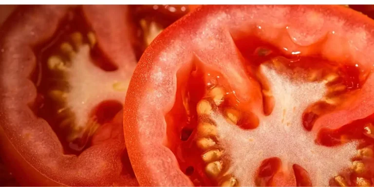 semillas de tomate: en los que se pueden ver sus semillas
