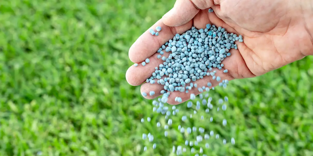 Fertilizantes Agricolas Fertilizantes agrícolas para mejorar el crecimiento de los cultivos. Mano de agricultor esparciendo fertilizante.
