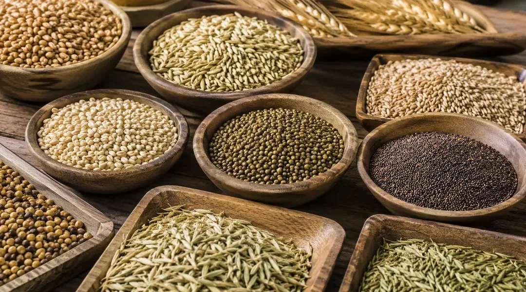 Semillas agrícolas: tipos, usos y cómo elegir las más adecuadas